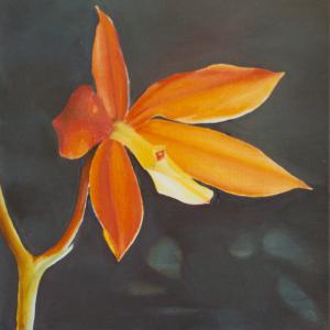 Blume 1 60x60 Öl/Acryl